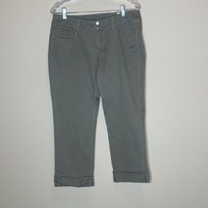 American Eagle Stretch Artist Crop Pants